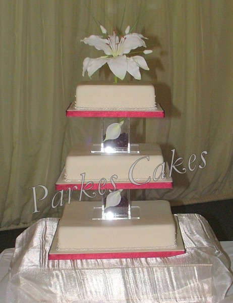 Sally wed cake front (462 x 600)